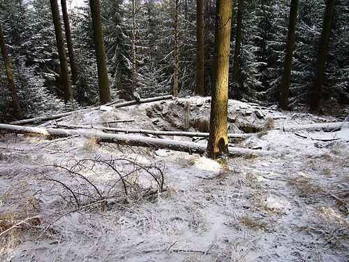 Czech resistance to Nazi occupation